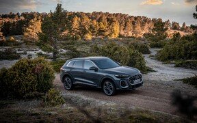 АЛ Audi Q5_1