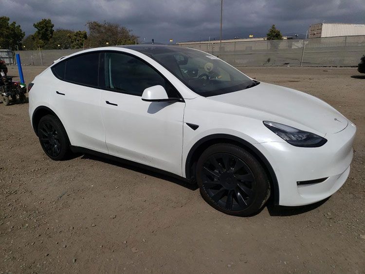 TESLA MODEL Y 2021