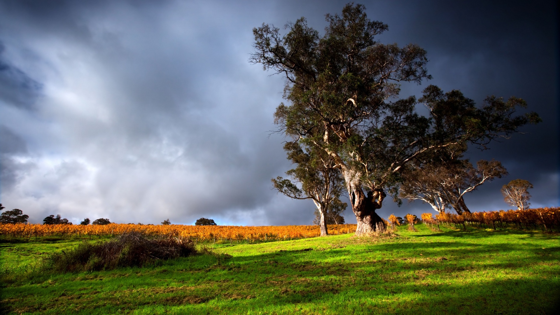 Новый MINI Cooper: История, Дизайн и Успехи Новый MINI Cooper: История, Дизайн и Успехи